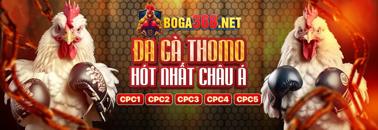 Đội ngũ hỗ trợ khách hàng chuyên nghiệp của nbet casino