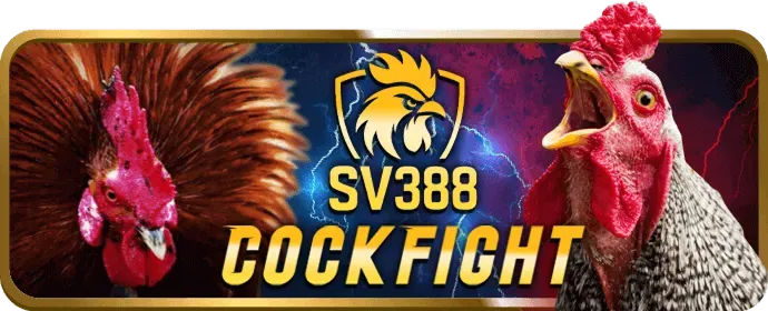Cấp độ VIP Bạch Kim tại nbet casino