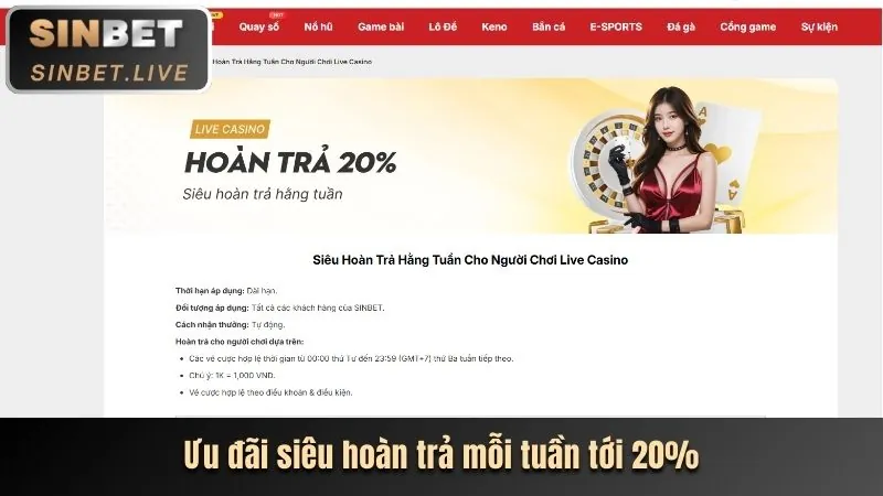 Các tính năng nổi bật của nbet casino